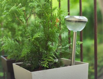 Sublimer votre terrasse de jardin